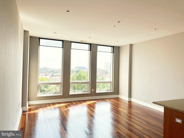 empty room featuring baseboards, a wealth of natural light, and wood finished floors