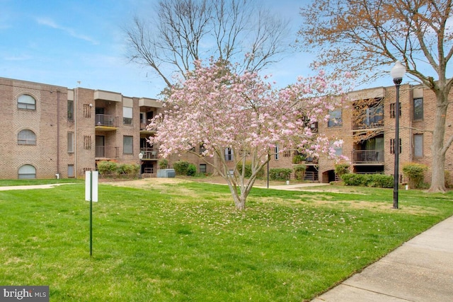 view of community with a yard