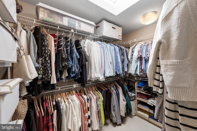 spacious closet featuring a skylight