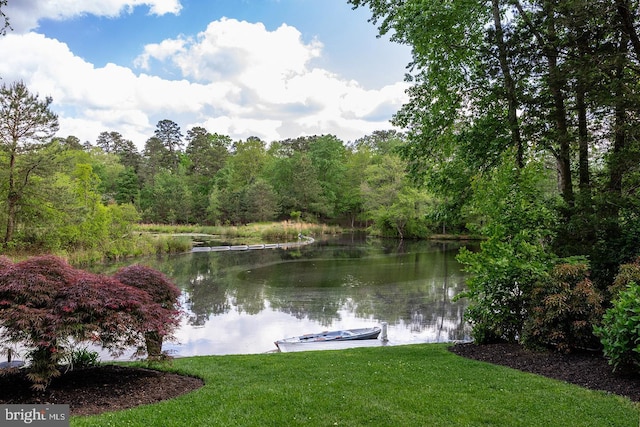 property view of water