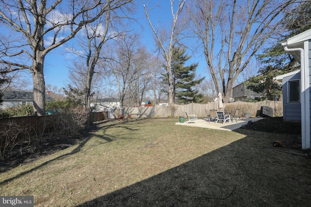 view of yard featuring a fenced backyard and a patio