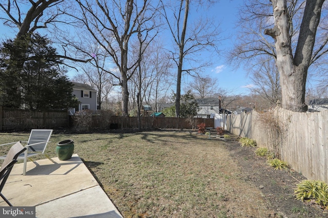 view of yard with a patio and a fenced backyard