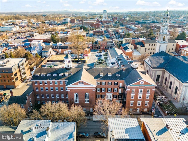 bird's eye view