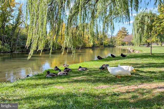 view of property's community featuring a lawn and a water view