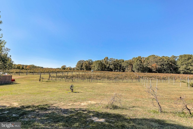 view of yard with a rural view