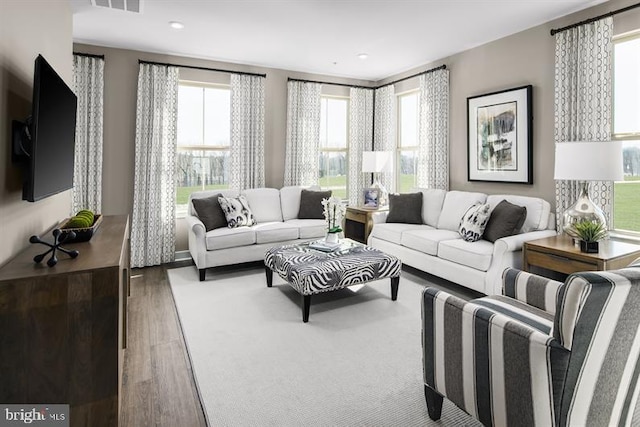 living room featuring wood finished floors and recessed lighting