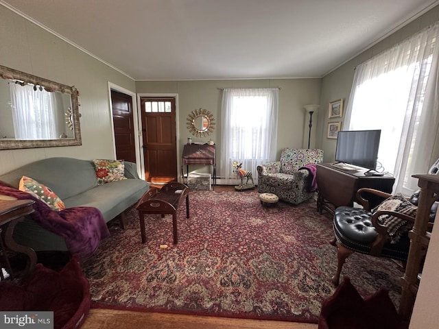 living room with carpet flooring and ornamental molding