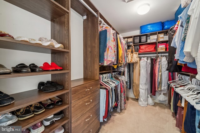 walk in closet with light carpet