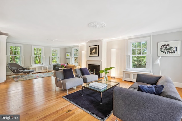 300 E Broad St, Falls Church, VA 22046 - living area with crown molding, light wood-style floors, a fireplace, and radiator
