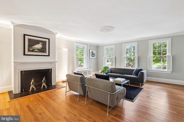 300 E Broad St, Falls Church, VA 22046 - living area featuring crown molding, wood finished floors, plenty of natural light, and a fireplace with flush hearth