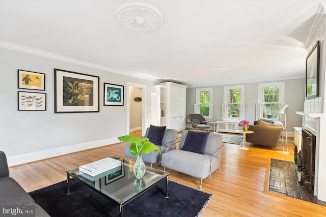 300 E Broad St, Falls Church, VA 22046 - living area featuring crown molding, light wood-type flooring, radiator heating unit, and a fireplace