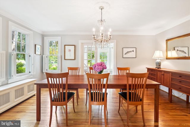 300 E Broad St, Falls Church, VA 22046 - dining area with radiator heating unit, healthy amount of natural light, a chandelier, wood finished floors, and crown molding