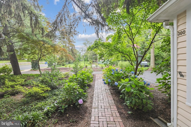 300 E Broad St, Falls Church, VA 22046 - view of yard