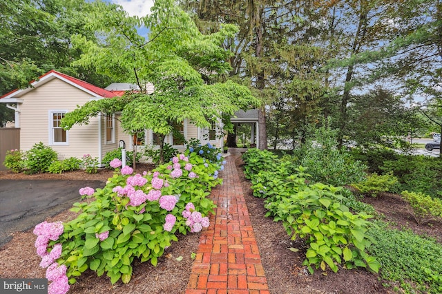 300 E Broad St, Falls Church, VA 22046 - view of yard