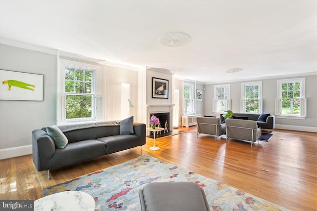 300 E Broad St, Falls Church, VA 22046 - living area with ornamental molding, healthy amount of natural light, a fireplace with flush hearth, and wood finished floors