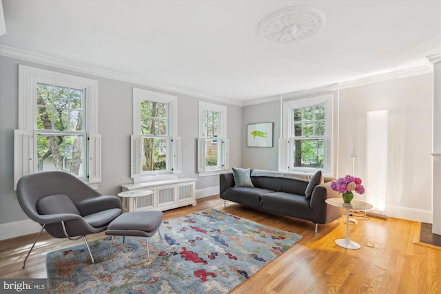 300 E Broad St, Falls Church, VA 22046 - living room featuring ornamental molding, healthy amount of natural light, wood finished floors, and radiator heating unit