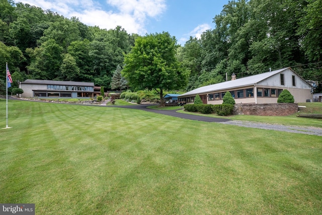 view of yard featuring driveway