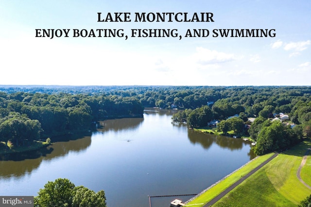 drone / aerial view with a water view and a wooded view