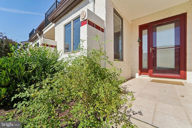 view of exterior entry with stucco siding