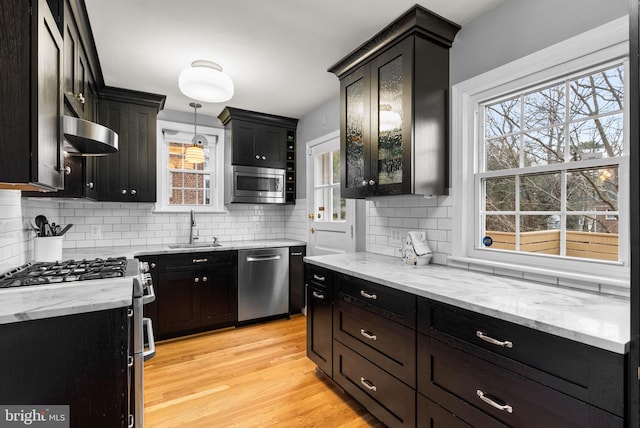 kitchen with light wood-style flooring, appliances with stainless steel finishes, dark cabinets, a sink, and a wealth of natural light