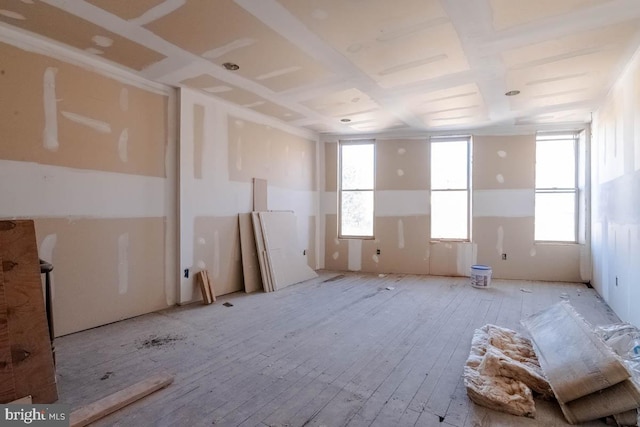 misc room with light wood-type flooring and a healthy amount of sunlight