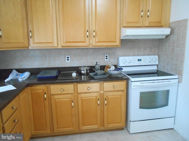 kitchen featuring decorative backsplash, white electric range oven, and under cabinet range hood