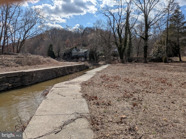 view of road featuring a wooded view