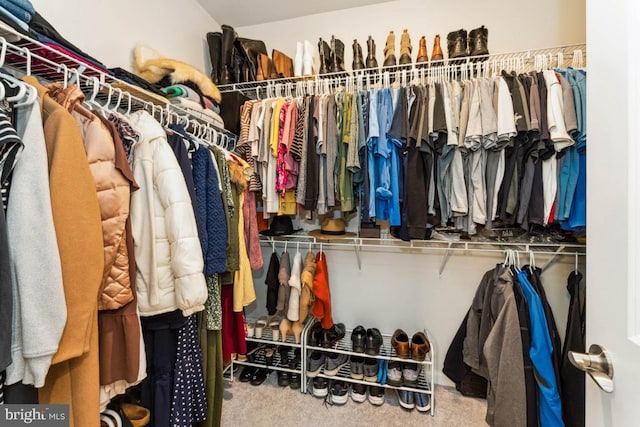 walk in closet with carpet floors