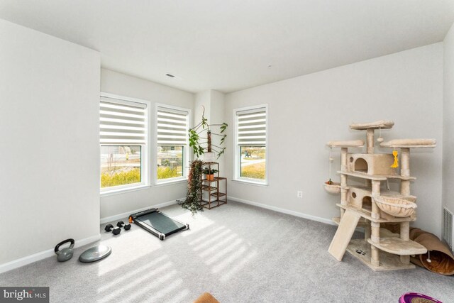 workout area featuring visible vents, baseboards, and carpet flooring