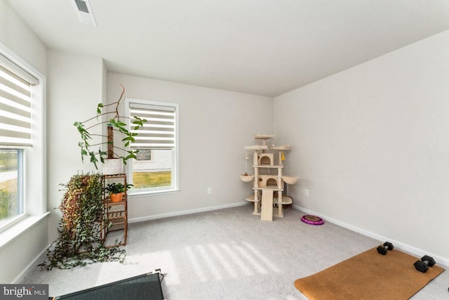 misc room with a wealth of natural light, carpet flooring, and baseboards