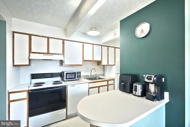 kitchen with electric range, dishwasher, stainless steel microwave, under cabinet range hood, and a sink