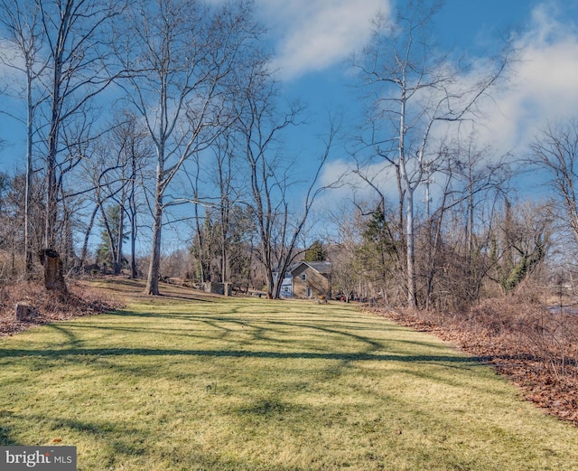521 Brightfield Rd, Lutherville Timonium, MD 21093 - view of grassy yard