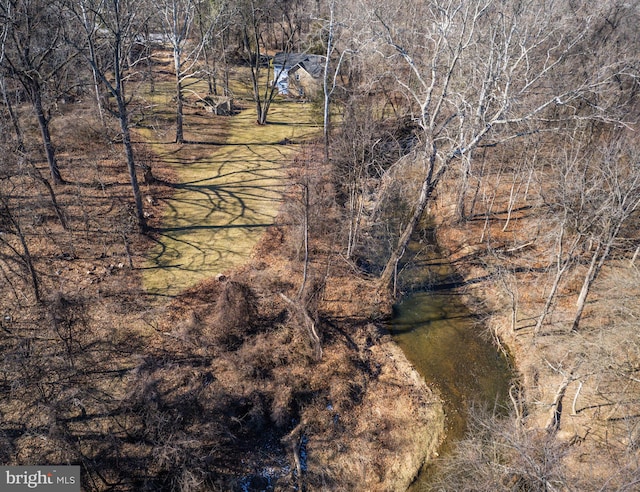 521 Brightfield Rd, Lutherville Timonium, MD 21093 - view of nature