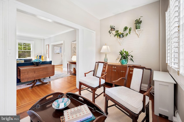 living area featuring wood finished floors