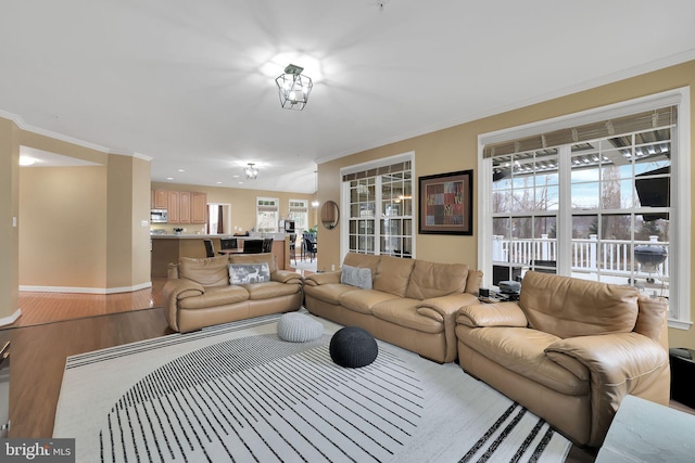 13110 Ogles Hope Dr, Bowie, MD 20720 - living area featuring ornamental molding, light wood-type flooring, and baseboards
