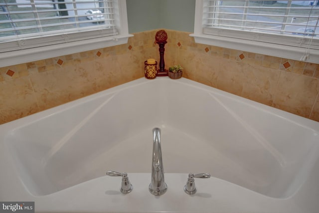 room details with a garden tub