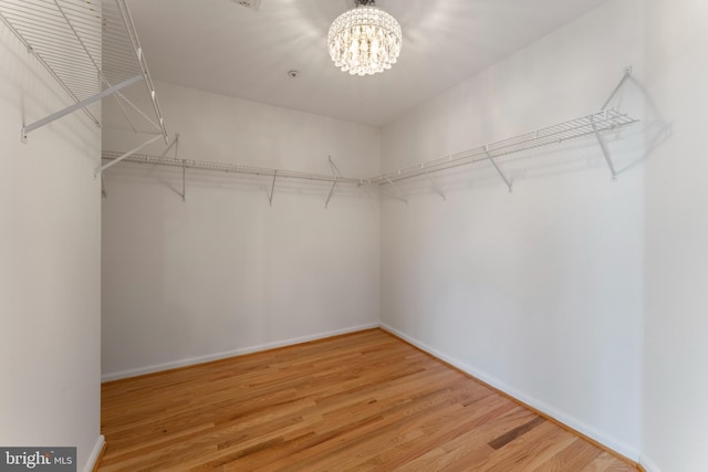 spacious closet featuring an inviting chandelier and wood finished floors