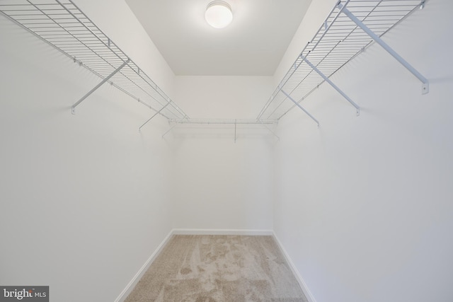 spacious closet with light colored carpet