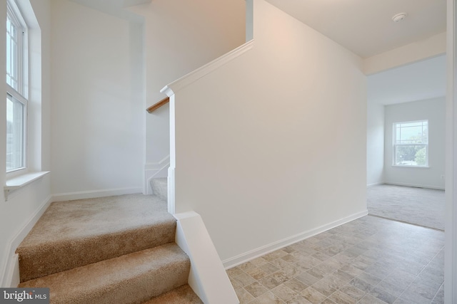 stairs featuring carpet and baseboards