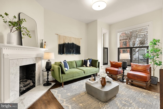 living area featuring a premium fireplace and wood finished floors