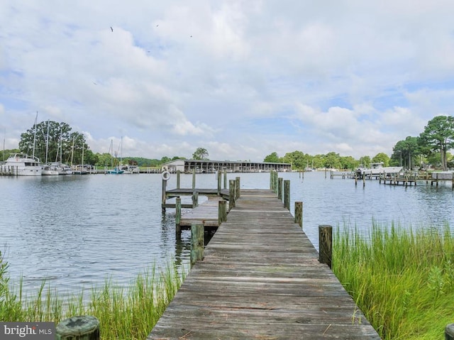 dock area featuring a water view