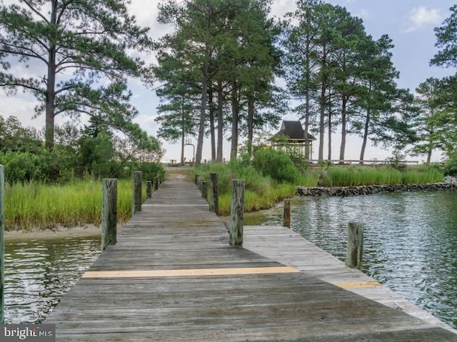 dock area featuring a water view