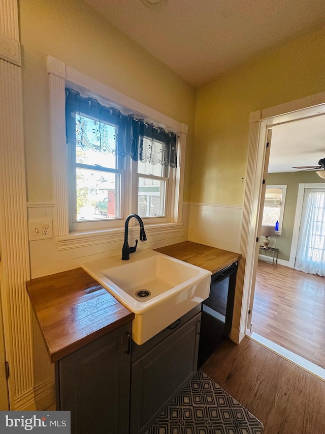 kitchen featuring dark wood finished floors, a ceiling fan, wainscoting, a sink, and dark brown cabinets