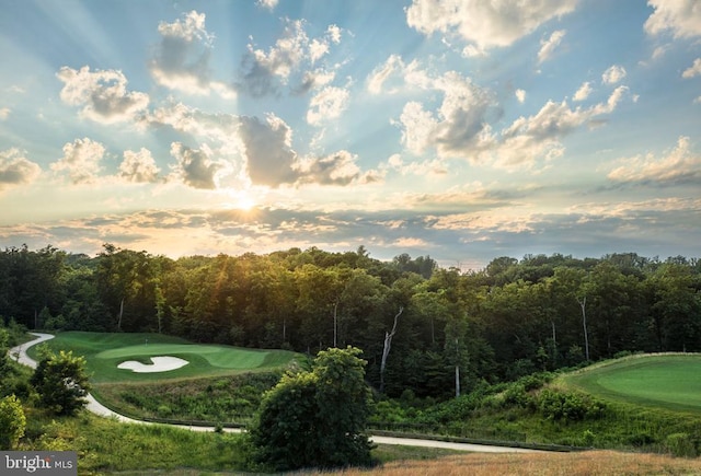 view of property's community featuring view of golf course and a forest view