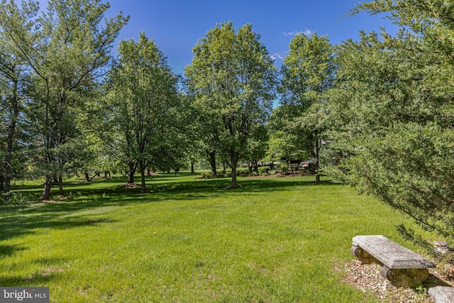 view of grassy yard