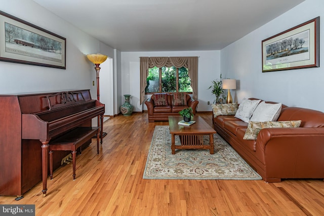 living area featuring wood finished floors