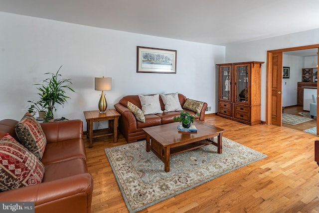 living room featuring light wood finished floors