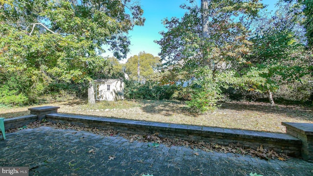 view of yard featuring a storage shed and an outbuilding