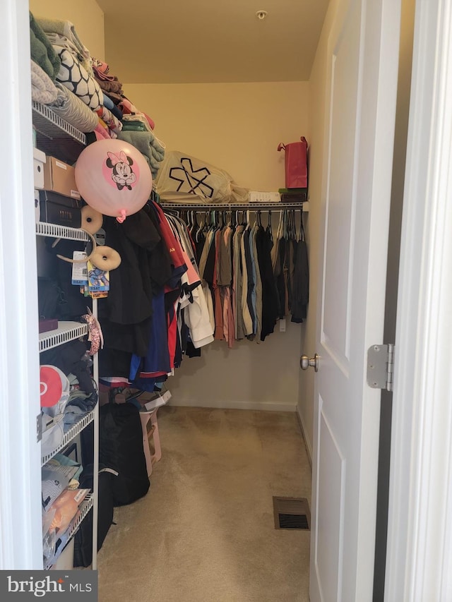 spacious closet featuring carpet and visible vents