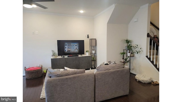 living area with ornamental molding, ceiling fan, and wood finished floors